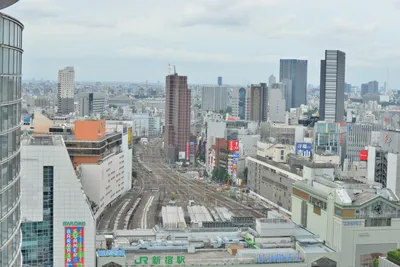 DSC_4036 (Large).JPG